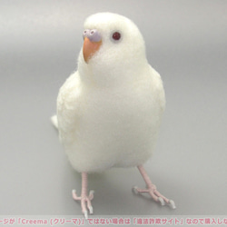 本トリ No.99 セキセイインコ アルビノ ４号 / 羊毛フェルト リアルサイズ 3枚目の画像