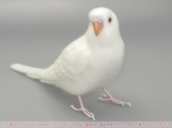 本トリ No.99 セキセイインコ アルビノ ４号 / 羊毛フェルト リアルサイズ 2枚目の画像