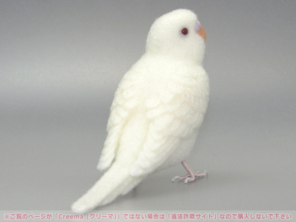 本トリ No.99 セキセイインコ アルビノ ４号 / 羊毛フェルト リアルサイズ 4枚目の画像