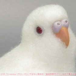 本トリ No.99 セキセイインコ アルビノ ４号 / 羊毛フェルト リアルサイズ 1枚目の画像