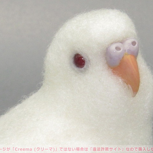 本トリ No.99 セキセイインコ アルビノ ４号 / 羊毛フェルト リアル