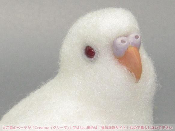 本トリ No.99 セキセイインコ アルビノ 4号 / 羊毛フェルト リアル 