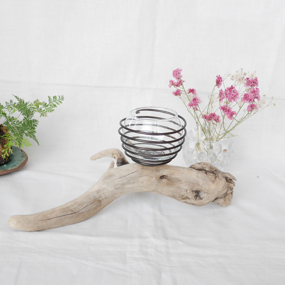 販売済み作品です 流木プランター エアープランツホルダー 植木鉢 花器 花瓶 ワイヤー グラスインテリア Sサイズ D 8枚目の画像