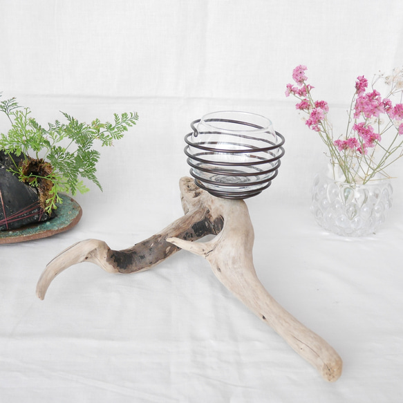 販売済み作品です 流木プランター エアープランツホルダー 植木鉢 花器 花瓶 ワイヤー グラスインテリア Sサイズ D 7枚目の画像