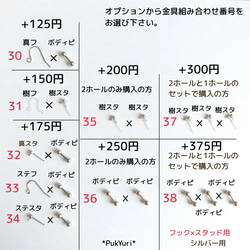 小花とスワロの2ホールピアス/ノンホールピアス/イヤーカフ/軟骨ピアス/2連ピアス 7枚目の画像