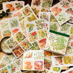 特価商品　8種　花　アメリカン　植物　ボタニカル　アンティーク　レトロ　シール　ステッカー　コラージュ素材 15枚目の画像