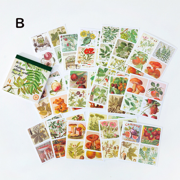 特価商品　8種　花　アメリカン　植物　ボタニカル　アンティーク　レトロ　シール　ステッカー　コラージュ素材 7枚目の画像