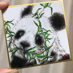 水彩画 原画 パンダ幼稚園 水彩画 原画 パンダ幼稚園 絵画