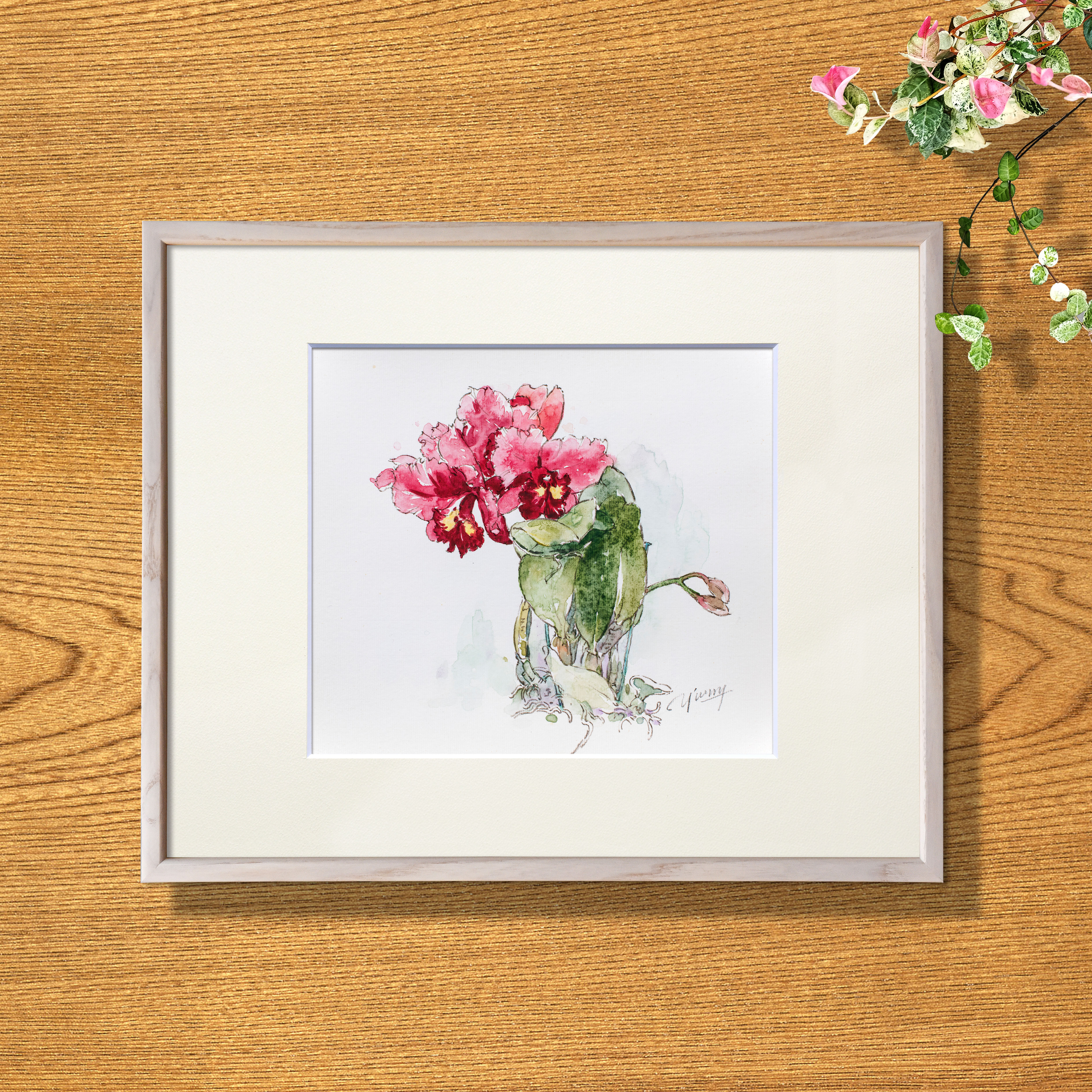 【カトレア-1】額縁付き　スケッチ原画　一点物　特典付き