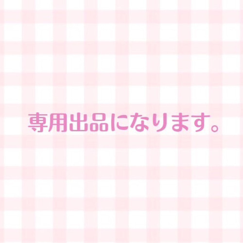専用出品になります。 （特定のお客様の専用出品になります