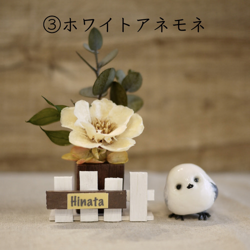 ぷっくりシマエナガとドライフラワーミニ 10種類から選べるお花 白い柵