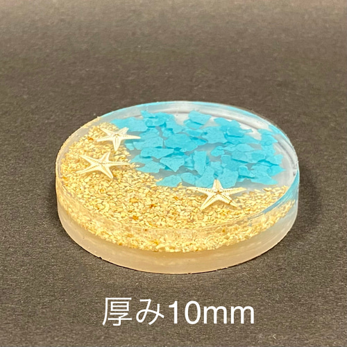 レジンアクセサリーNO.331