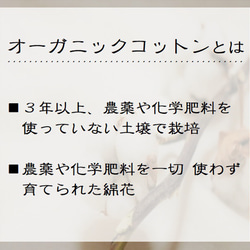 夜用ロング▶オーガニック布ナプキン▶全面 防水布使用３０㎝▶ストライプ ベージュ 6枚目の画像