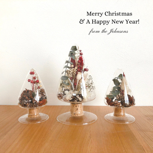 クリスマス△ボトルフラワー シードボトルM ドライフラワー