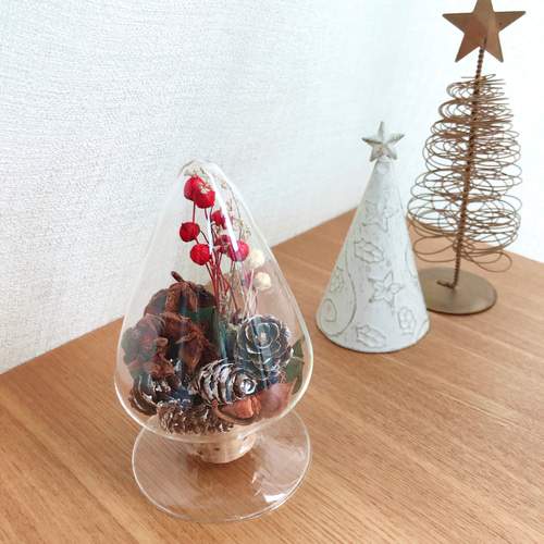 クリスマス△ボトルフラワー シードボトルM ドライフラワー