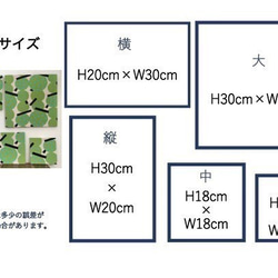  第6張的照片