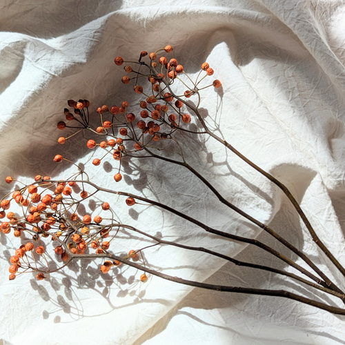 オレンジ色が可愛い!野ばらのみのドライフラワー 約25センチを5本