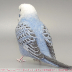 本トリ No.101 セキセイインコ オパーリン バイオレット / 羊毛フェルト リアルサイズ 4枚目の画像