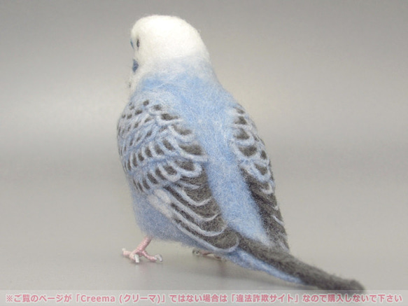 本トリ No.101 セキセイインコ オパーリン バイオレット / 羊毛フェルト リアルサイズ 4枚目の画像