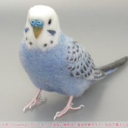 本トリ No.101 セキセイインコ オパーリン バイオレット / 羊毛フェルト リアルサイズ 2枚目の画像