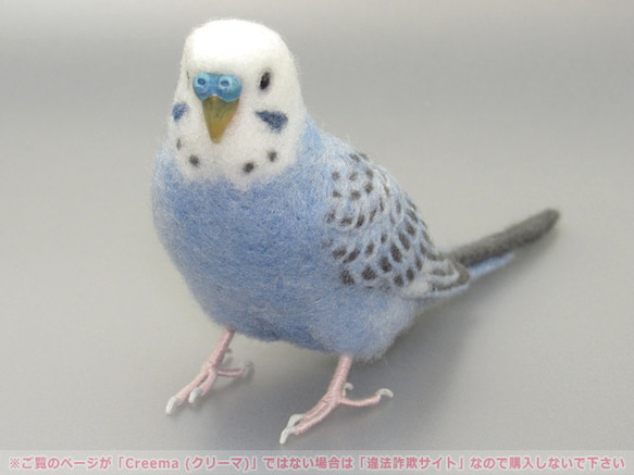 本トリ No.101 セキセイインコ オパーリン バイオレット / 羊毛フェルト リアルサイズ 2枚目の画像