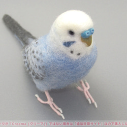 本トリ No.101 セキセイインコ オパーリン バイオレット / 羊毛フェルト リアルサイズ 5枚目の画像