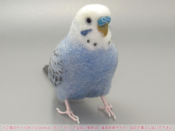 本トリ No.101 セキセイインコ オパーリン バイオレット / 羊毛フェルト リアルサイズ 3枚目の画像