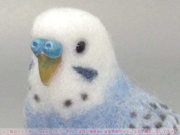 本トリ No.101 セキセイインコ オパーリン バイオレット / 羊毛