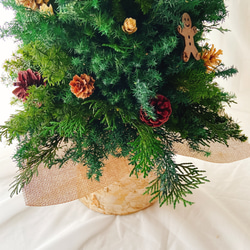 クリスマスツリー(木の実)(プリザーブドフラワー) 5枚目の画像
