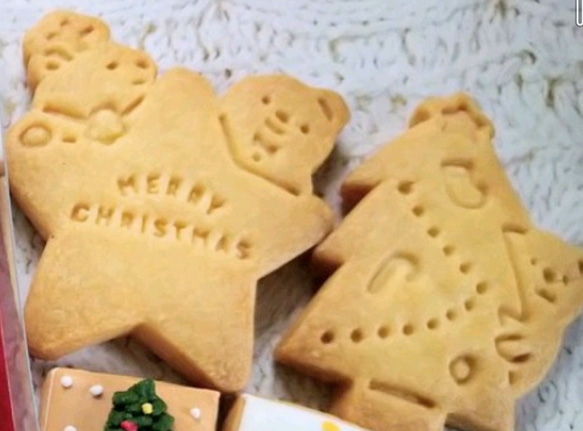 『Creema限定クリスマス2023』※クリスマスのミニアイシングクッキー　クッキー缶※身体に優しい!ケーキの飾りにも 13枚目の画像