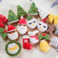 『Creema限定クリスマス2023』※クリスマスのミニアイシングクッキー　クッキー缶※身体に優しい!ケーキの飾りにも 9枚目の画像