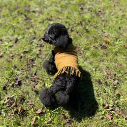 Fringe dog's wear  フリンジが可愛い♪ ウールで暖か わんこ服 犬服 ペット ウェア 3サイズ 8枚目の画像