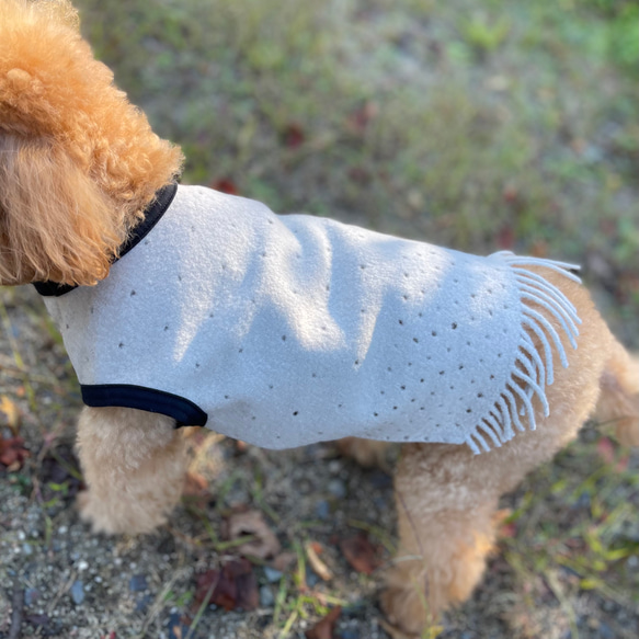 Fringe dog's wear  フリンジが可愛い♪ ウールで暖か わんこ服 犬服 ペット ウェア 3サイズ 6枚目の画像