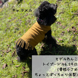 Fringe dog's wear  フリンジが可愛い♪ ウールで暖か わんこ服 犬服 ペット ウェア 3サイズ 4枚目の画像