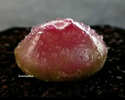 eff96d0d1ffd10d728fc4fbc5576c6