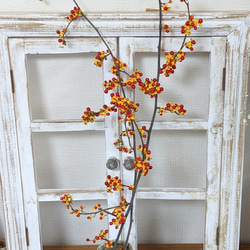 c9898086e4b87a56fc71f3472ec344