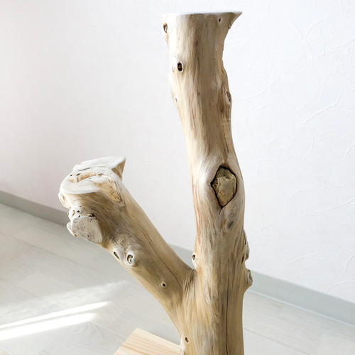 流木の止まり木】高さ約63cm！鳥 インコ 高低差のある2つの円座が特徴