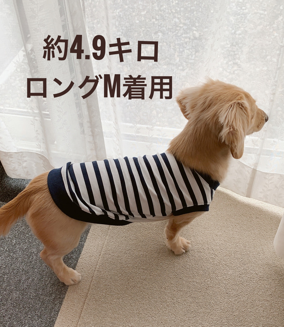 あったかニット　ダックス服　ロングMサイズ　タンクトップ　パッチワーク柄　犬服　わんこ服　ロング　ペット服　秋冬 13枚目の画像