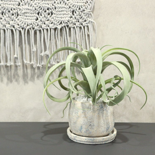 造花 キセログラフィカのコーデポット フェイクグリーン 観葉植物 エア