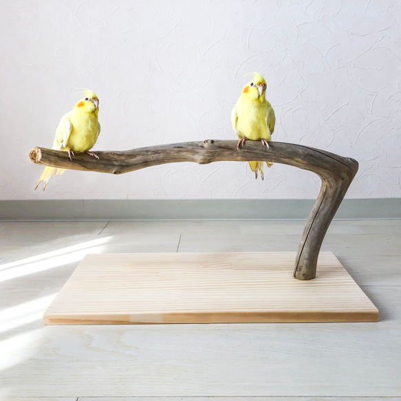 流木の止まり木】鳥 バードスタンド 小型から中型インコに！横幅