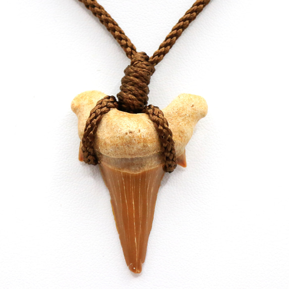 タイ 牙のお守り ペンダント