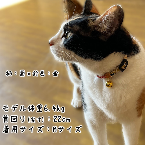➁だるま猫雛m(*´꒳`*)m ＊敷物付き、首輪付き