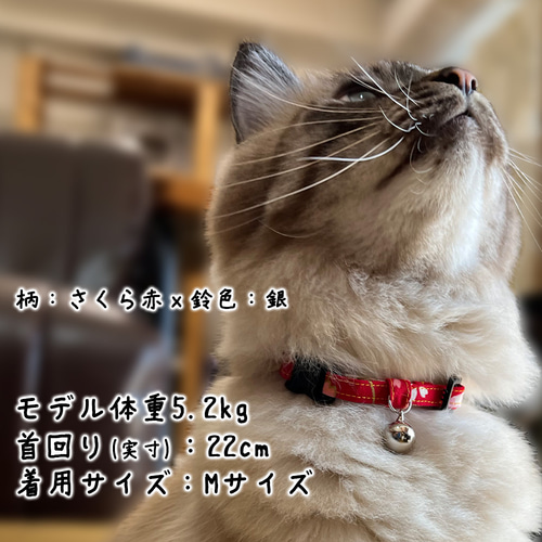 縫い付け迷子札 ねこおもいシュシュ猫首輪☆着用イメージ写真です／名前 ネームタグ 縫い付け迷子札 ねこおもいシュシュ猫首輪☆着用イメージ写真