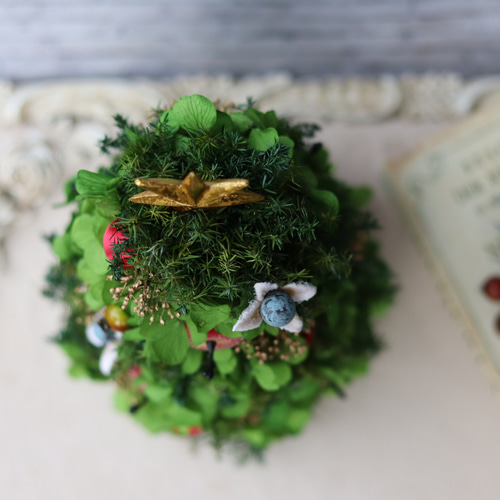 ⌘ クリスマスリース ⌘ 森のクリスマスリース 森の中の大きなクリスマスリース リース Rosa Cherry 通販