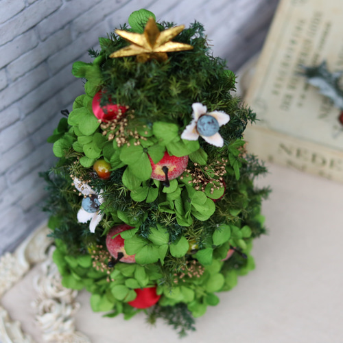⌘ クリスマスリース ⌘ 森のクリスマスリース 早割】森のクリスマスリース2025新作 リース viento 通販