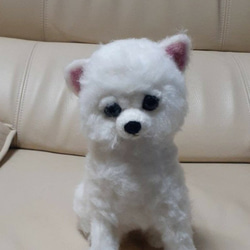 羊毛フェルト 白ポメラニアンちゃん、タヌキカット 置物 羊毛フェルト