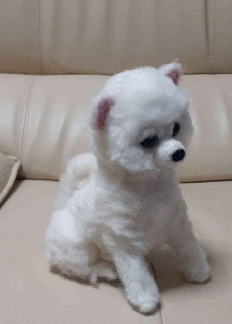 羊毛フェルト　にこにこリラックスポメラニアン 羊毛フェルト にこにこリラックスポメラニアン