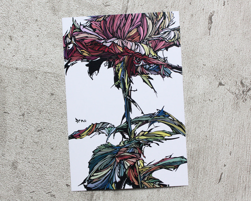 006-3436】花 ポストカード／はがき 3枚セット ポストカード PhSi