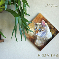【即購入OK】猫の油絵 (F0、油彩、額入) 油絵 油彩画 猫 オリジナルの通販 by MB's shop｜ラクマ
