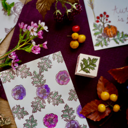Lady &quot;C&quot; Collection &lt;Autumn Bouquet&gt;/LadyC的系列~Au 第10張的照片